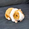 Pig Lifelike Guinea Plush Animal Toy Children Birthday Collection Orange Gifts