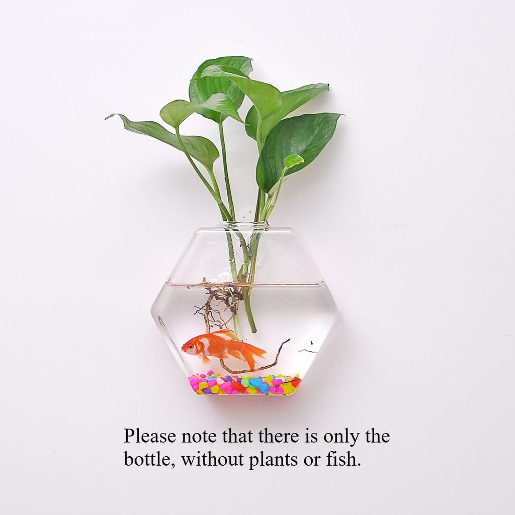 Vaso de flores de vidro de parede 4 peças decoração de casa vaso hidropônico de parede hexagonal recipiente para plantas endro