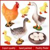Poultry Science Simulation Toy Set: Hen, Duck, Goose Birth & Egg Laying