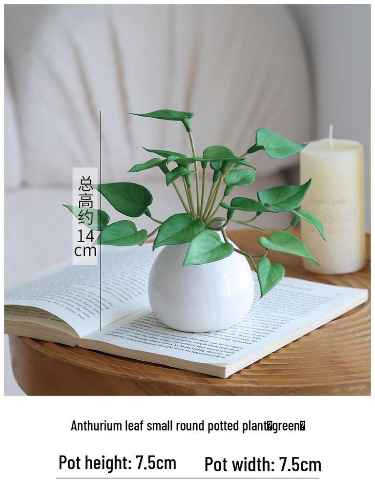 Miniature Succulent Bonsai Desk Ornament: Green Plant Props for Home or Office Decor