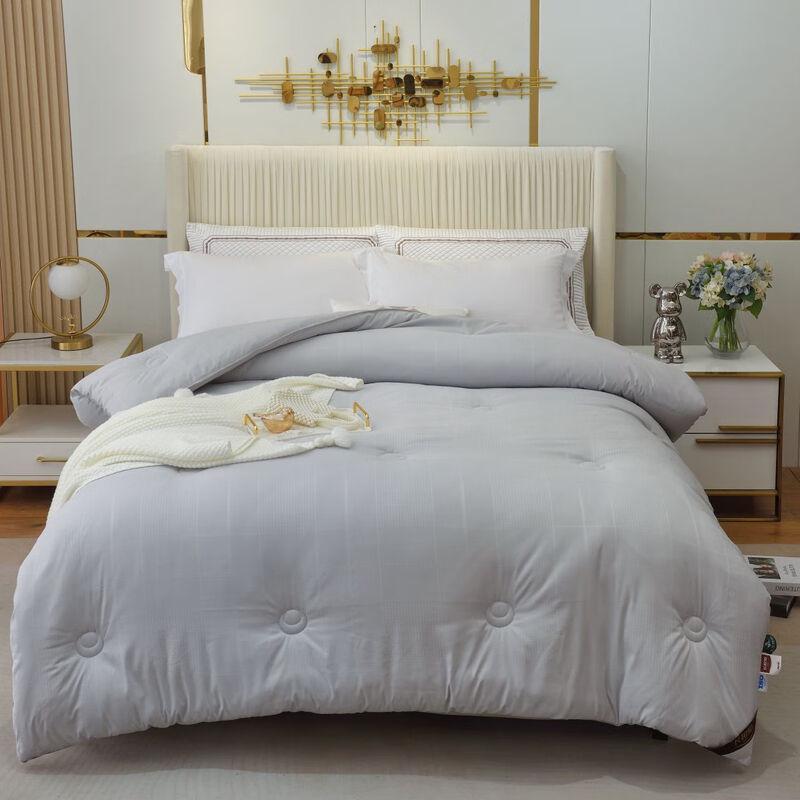 

Chang Xiang Zhi Snow Velvet Thick Winter Quilt