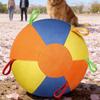 Giant Dog Herding Ball Dogs Large Interactive Calming Pet Supplies Small Dog Calming Ball Tear-Resistant Inflatable Ball