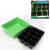 Krabice na sazenice Průhledné víko Vodotěsné 12 otvorové misky pro zakládání semen pro zahradu