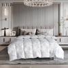Yiyiai Ink Wash Style White Goose Down Comforter