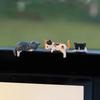 12pcs Cute Desktop Ornament Adorable Mini Resin Cat Model Car Dashboard decorativeOrnaments For Cars Trailer RV Truck Automotive