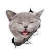 Prendre Car Sticker Cat Sticker Cute Animal Dress Up Car