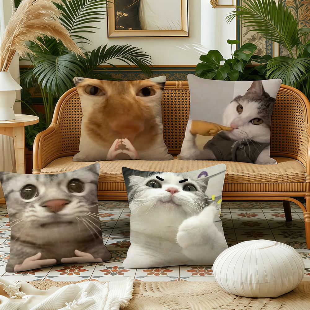 Cute funny cat cushion cover Plush Fabric Soft Double Sided Print Sofa Cushion Cover Throw Pillow Covers