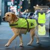 Pet Reflective Safety Vest Fluorescent Dog Clothes Dog Paw Night Wear Puppy Vest Night Wear