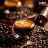 Premium Organic Colombian Risaralda Mafra Coffee Beans Free of Carcinogens and Molds