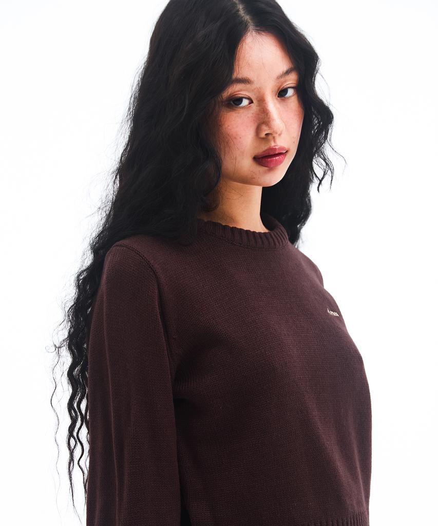 AMES-WORLDWIDE Basic Small Logo Knit Brown