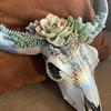 Wall Ornament Beautiful Decorative Resin Succulent/Flower Cow Skull Hanging Pendant for Room