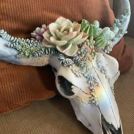 Wall Ornament Beautiful Decorative Resin Succulent/Flower Cow Skull Hanging Pendant for Room