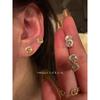 Niche Style Flash Fall and Winter Fancy Elegant Earrings