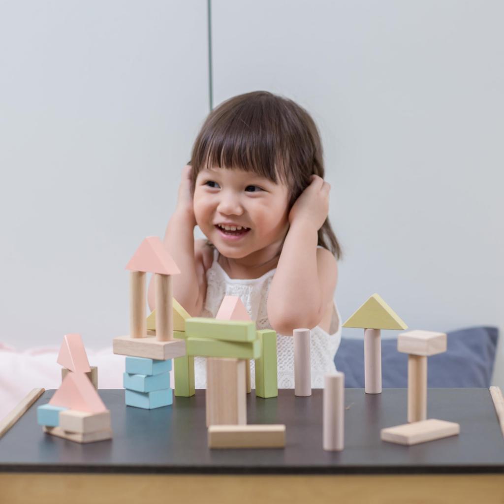 PlanToys Einheitenbausteine 40 Pastell 5507