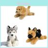Peluche Cane Siberian Husky con Imbottitura Morbida in Cotone PP per la Stanza dei Giochi dei Bambini