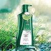 100 Years Runfa Purifying Anti-Dandruff Shampoo