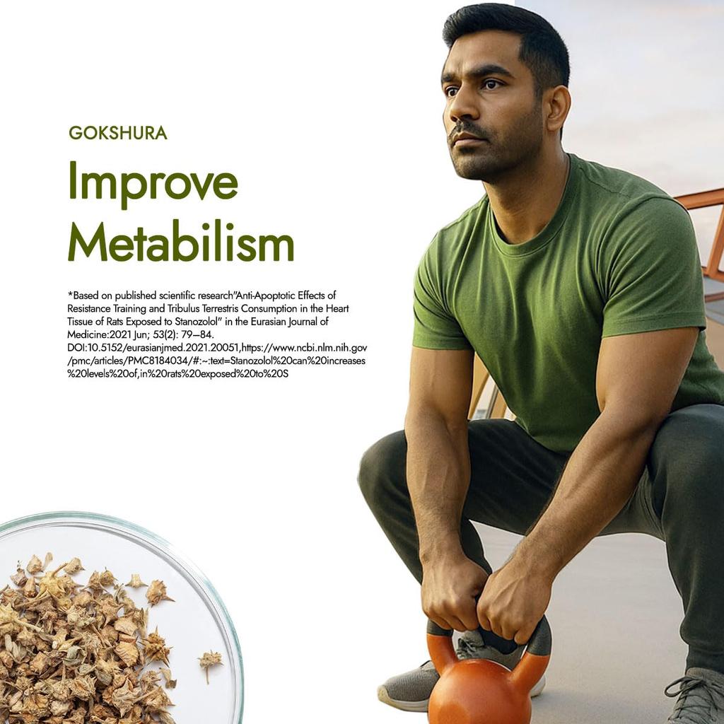 Kapiva Testofuel Shilajit Molkenprotein Kekse & Sahne 1 kg Hoher Proteingehalt Für Muskelregeneration Schnellere Aufnahme Tägliches Fitness