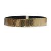Meier Waist Belt - Women's Metal Fish Scale Iron Plate Belt - Ladies' Waist Cincher Down Jacket Belt