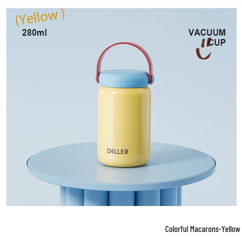 DILLER 316 Stainless Steel Insulated Bottle with Portable Handle