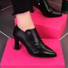 2025 Spring and Autumn New Thick Heel European and American Foreign Trade Pointed Small Leather Shoes Comfortable Single Shoes Foreign Style Mother S