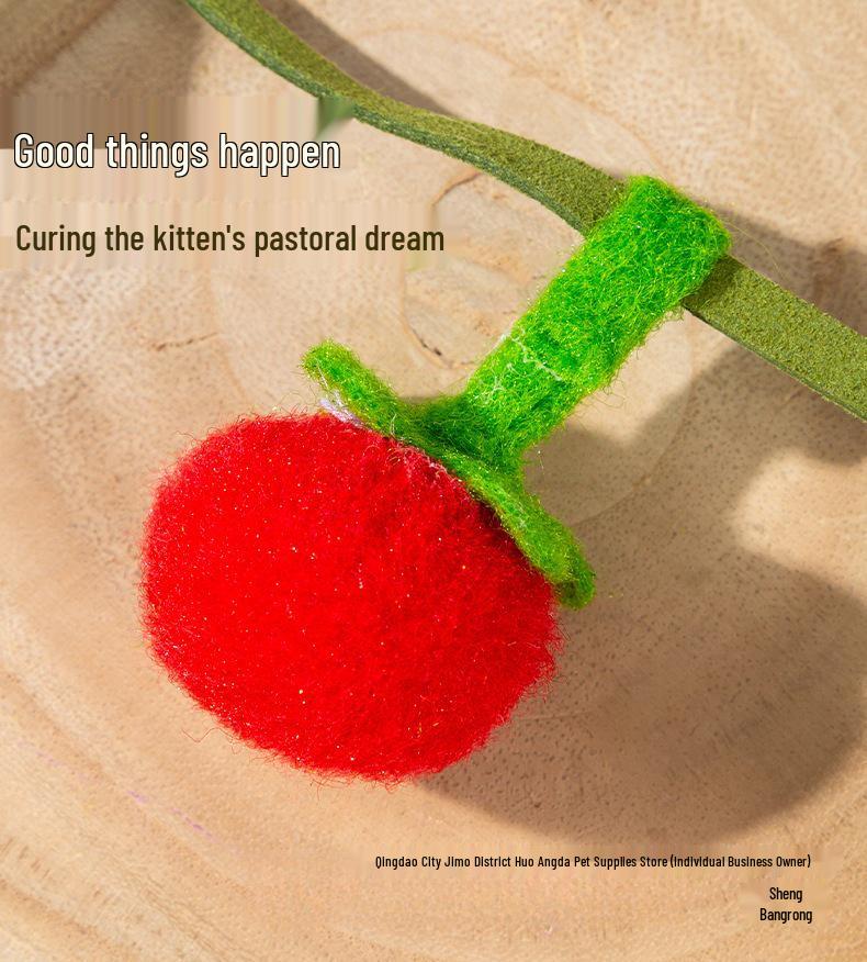 Bite-Resistant Tomato Teaser Wand with Bell - Self-Play Cat Toy for Kittens