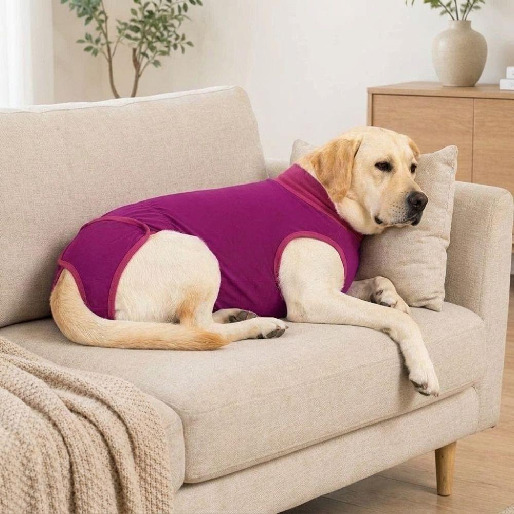 Adjustable Dog Sterilization Suit Soft Breathable Pet Recovery Clothes Cat Recovery Suit Home Wear
