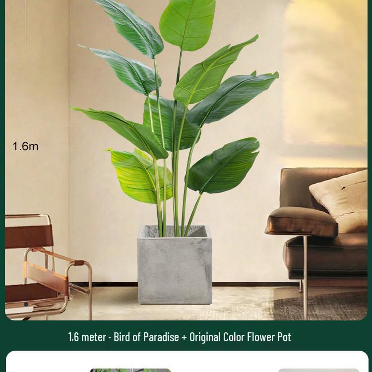 High-End Indoor Bird of Paradise Decor: Luxury Potted Traveler's Palm