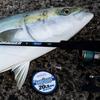 VARIVAS Shore Record Shock 16lb Leader, Fluorocarbon, 30m, (4)