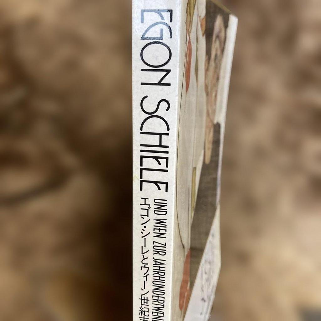 [USED] Egon Schiele and the Vienna Fin de Siècle EGON SCHIELE Art Book