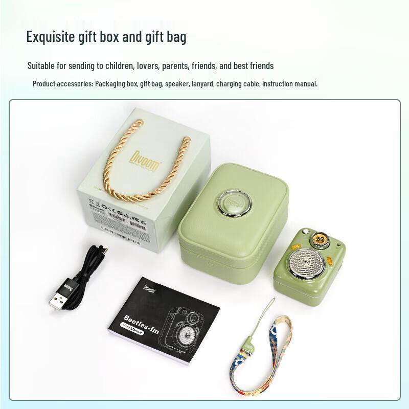 DianYin Beetle 2 Retro Mini Portable Bluetooth Speaker