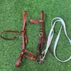 Reitsport – Zaumzeug & Zügel