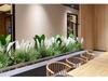 Nordic Reed & Foxtail Grass Artificial Office Plants Window Decor 