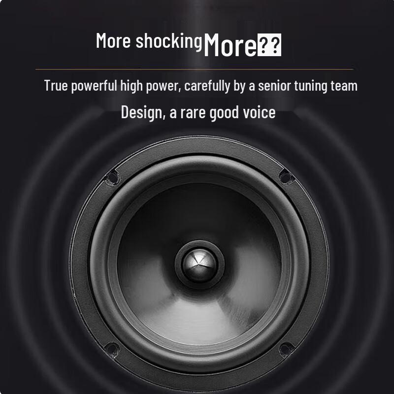 Huidu Professional Stage Subwoofer