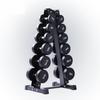 Rubberized Dumbbell Set with Vertical Rack