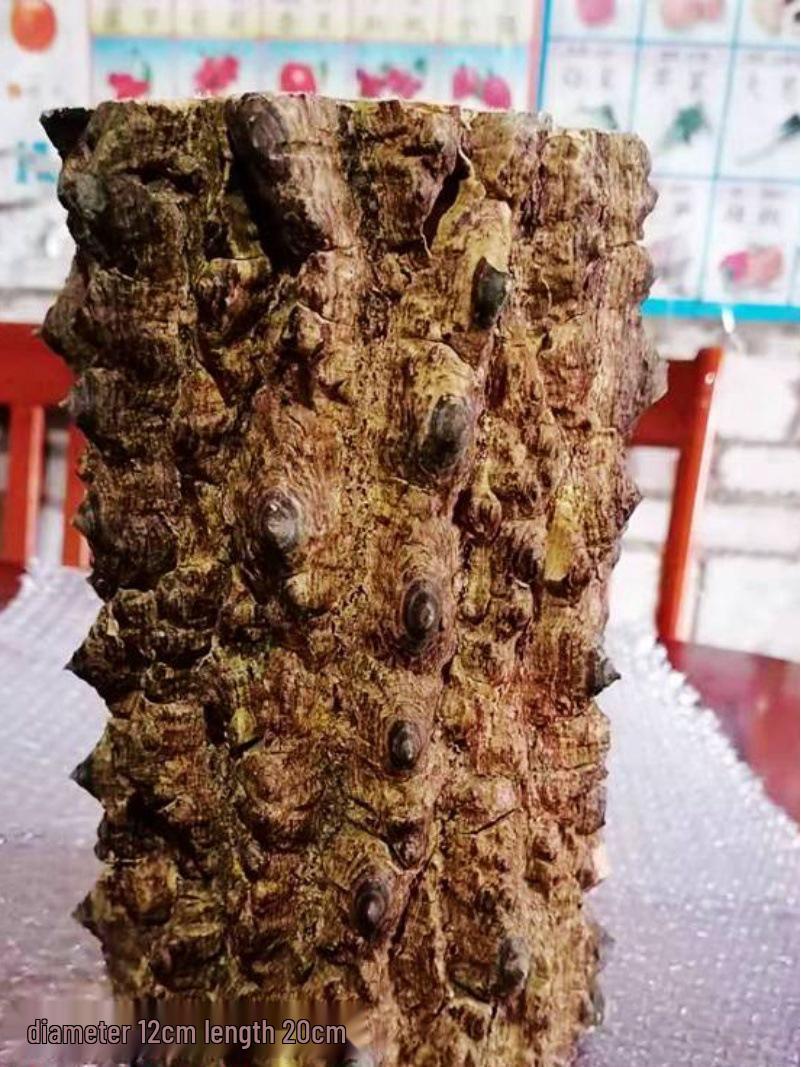 

Настольное украшение Драконье дерево для дома или офиса Diameter 2-3cm, Length 20cm