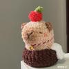 Capybara DIY Crochet Kit Beginner Crochet Stuffed Animal Kit Handmade DIY Set with Crochet Hooks Non-Finished Product