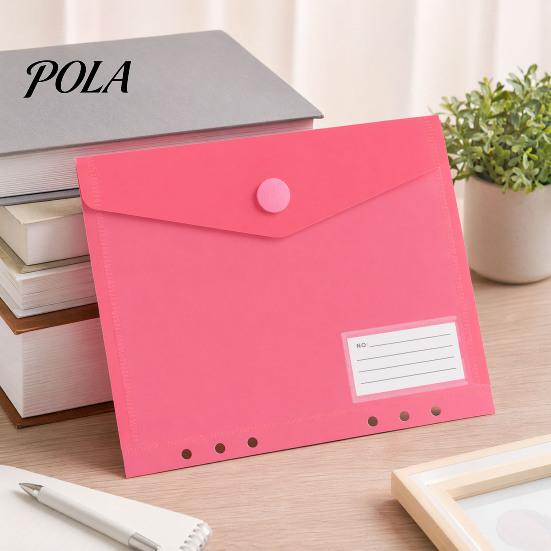 Project Document Organizer Plastic File Folder with Label Pocket, Hook And Loop Closure Clear Long-term Storage Bag Poly Envelope Folder, A4/A5/A6