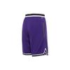 Nike Dri-Fit DNA Color-Block Striped Straight-Leg Shorts Men Shorts Purple DR7229-547