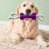 Hundesnor Legetøj Filt Ben Hundetyggelegetøj Interaktivt Træk-og-Slip Snor Hundelegetøj til Tandrensning Hvalp Tandfrembrud