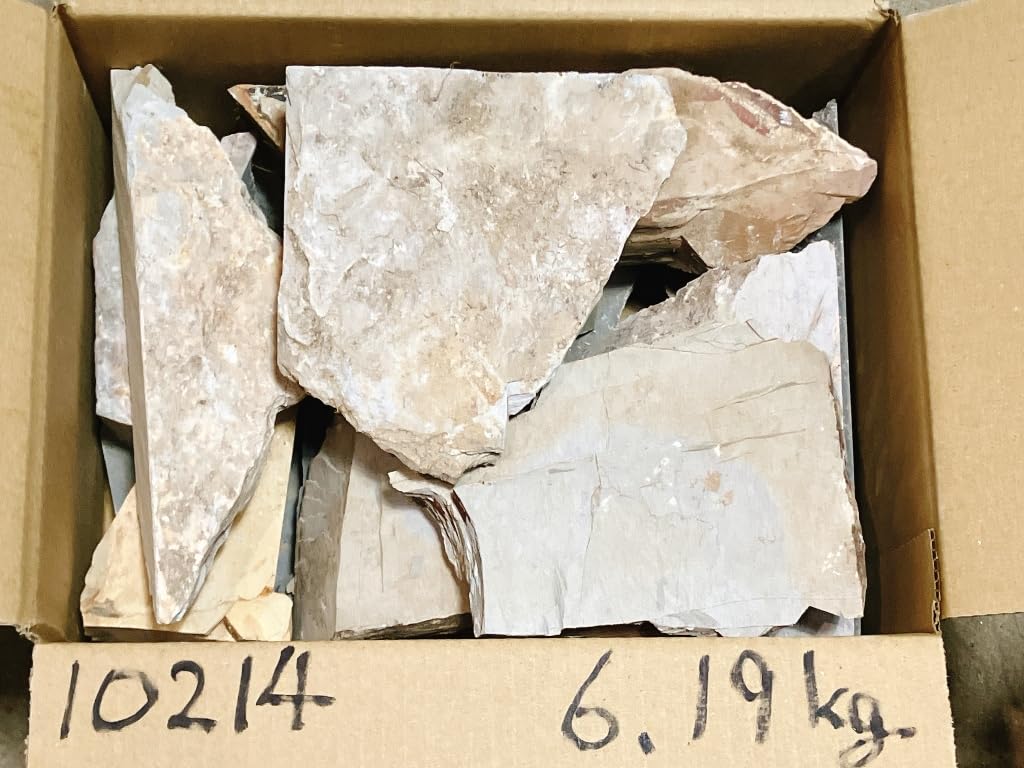 Natural Yamashiro Famous Rough Nakayama Iris Made In Ukyo Seihonyama Finished Forged Iyoto Made In Sample 60 Size Fake Original Fake Original