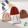 Cappello invernale da donna Autunno Unisex Fatto a mano Donna Cappello caldo 100% Lana Lavorazione a trecce Berretto Cappelli da ragazza Donna Berretto Donna Cappelli Spessi Chunky Elastici