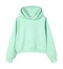 Silver Fox Velvet Women's 450g Heavyweight Hooded Sweatshirt - Short, Trendy Drop Shoulder Pullover for Autumn/Winter 