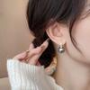 Korean Gray Zircon Pearl Pendant Earrings For Women Elegant Round Crystal Temperament Earrings Jewelry Birthday Gifts 2025
