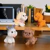 Voyyphixa Miniatur-Hunde-Set Niedliche Kleine Hunde DIY Tischlandschaft Bonsai Verschiedenes Neue Ornamente Figuren, 12, Figuren, Dekoration, Geschenk,