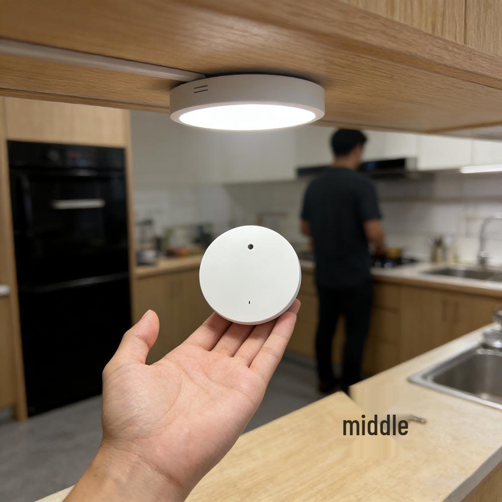 Zigbee/WiFi Ceiling-Mounted Millimeter Wave Radar Sensor for Smart Home Integration