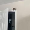 Brown Wooden Bear Door Topper Rustic Bear Shape Door Corner Frame Sign Handcrafted Sleeping Bear Statue for Home Office Bedroom Nursery Decor