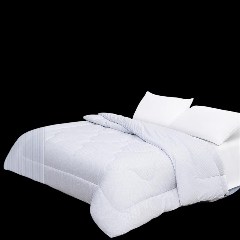 Mercury Home Antibacterial Quilt