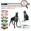 Waag Crescent Moon Galaxy Space Cat Collar - Multiple Designs, Safety Breakaway Collar (Black Webbing, XXS 6.5"-10" Neck)