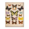 Vintage Fledermaus Insekt Druck Halloween Wandkunst Ölgemälde Antike Biene Tier Poster Wohnzimmer Dekoration Wandbild