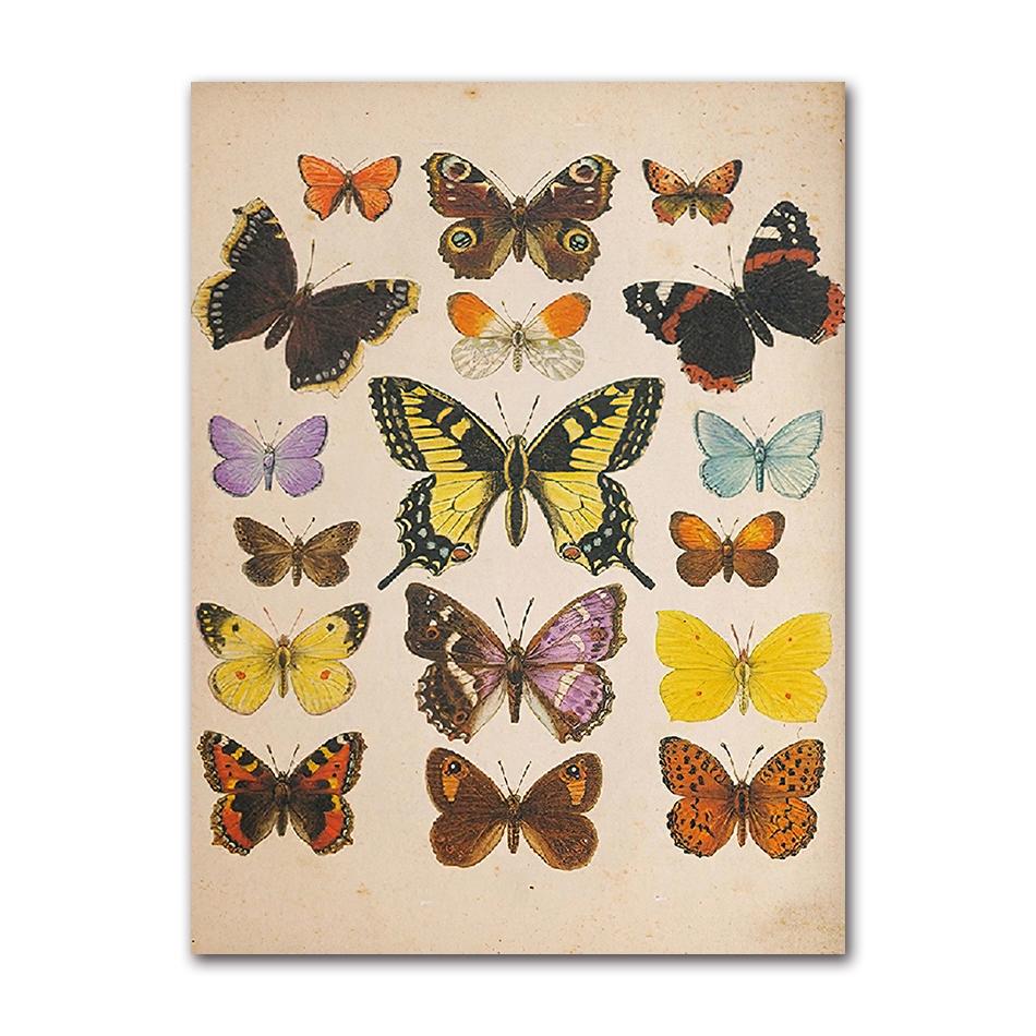 Vintage Fledermaus Insekt Druck Halloween Wandkunst Ölgemälde Antike Biene Tier Poster Wohnzimmer Dekoration Wandbild